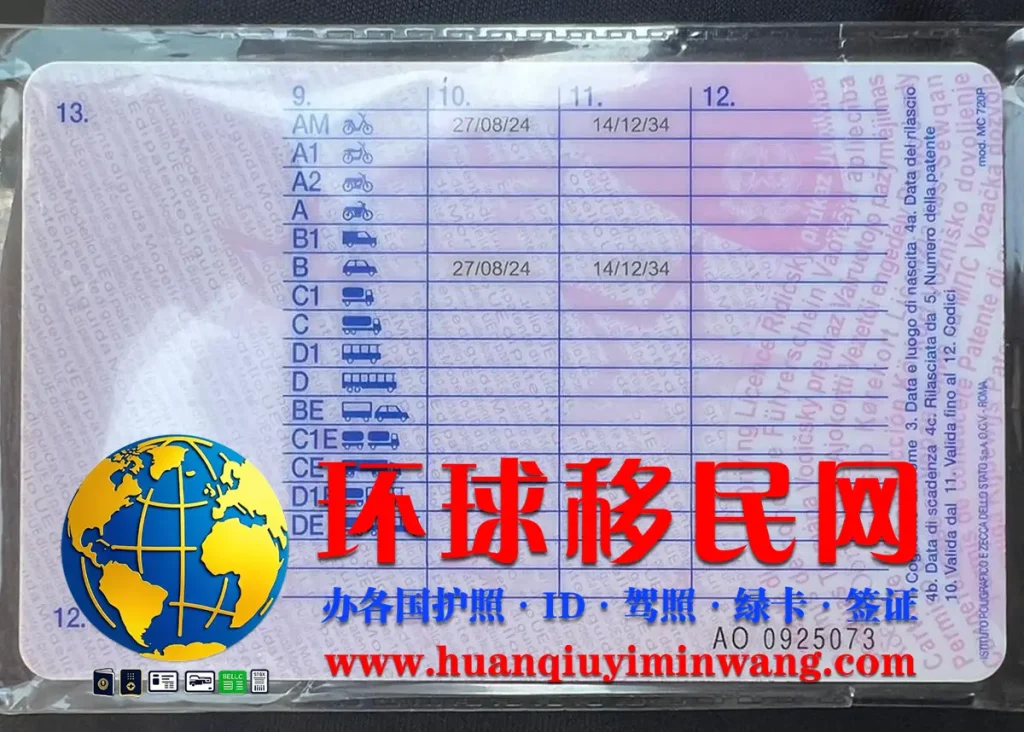 意大利驾照反面图片