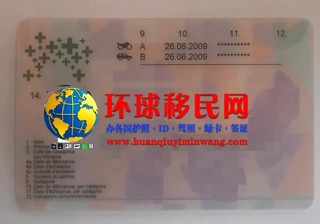 瑞士驾照反面图片