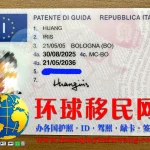 意大利驾照正面图片