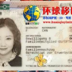 瑞士居留卡正面图片