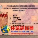 瑞士驾照正面图片