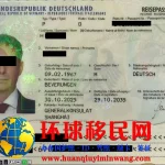 德国护照移民