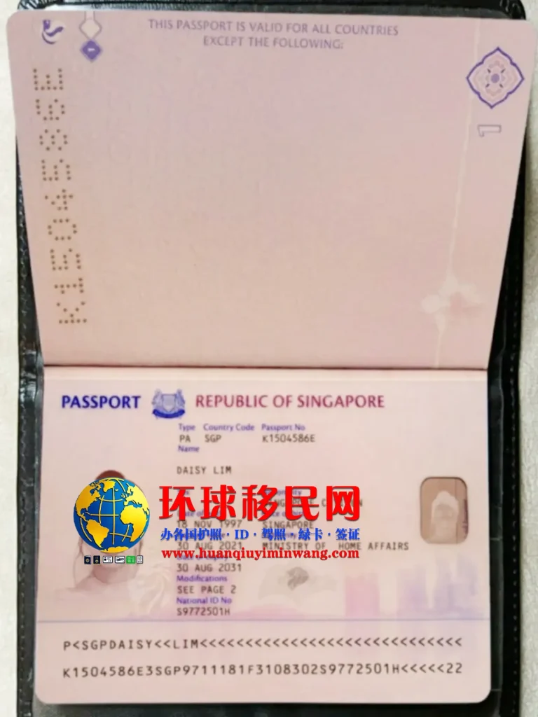 新加坡移民护照条件