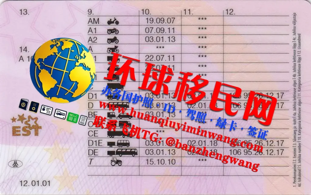爱沙尼亚驾驶证反面