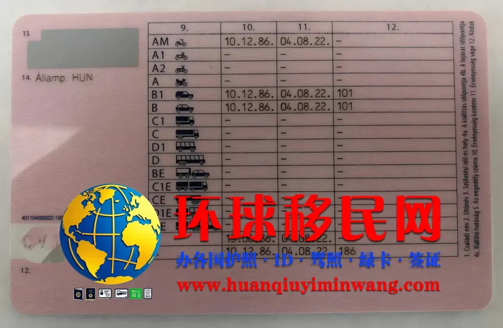 匈牙利驾驶证反面图片