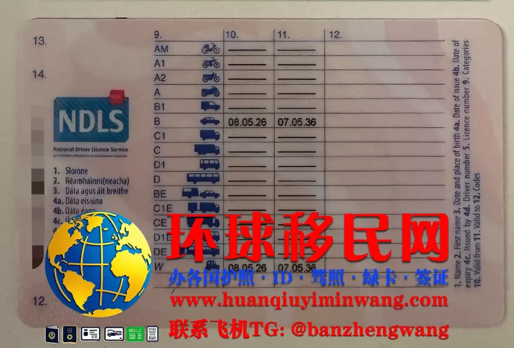 爱尔兰驾照反面