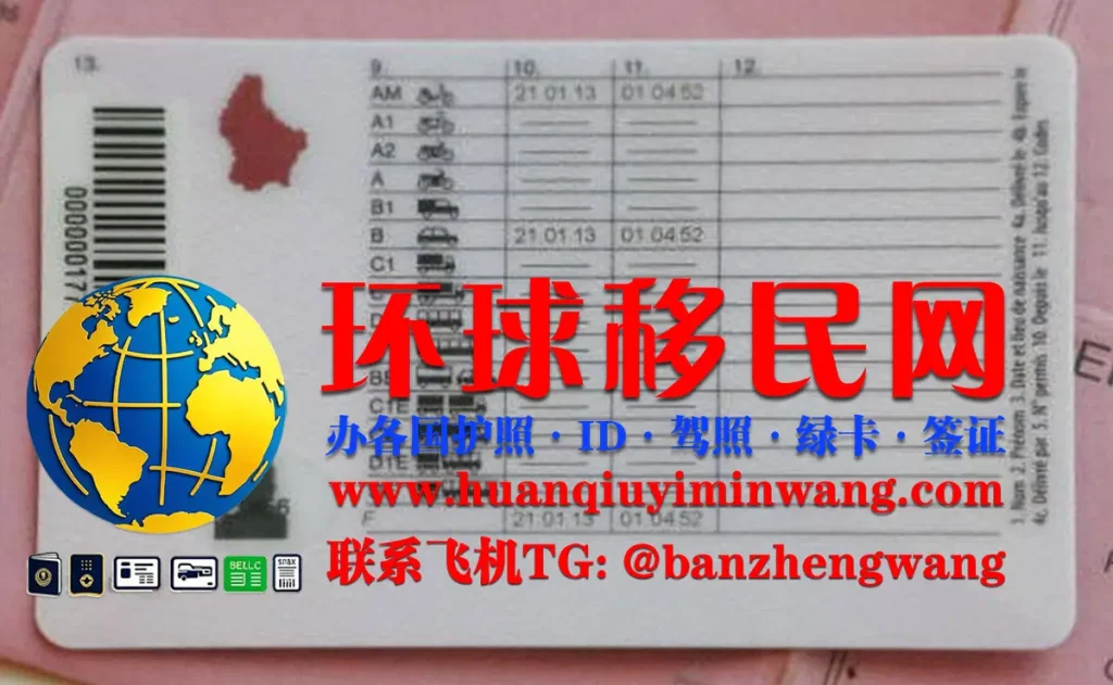 卢森堡驾驶证反面