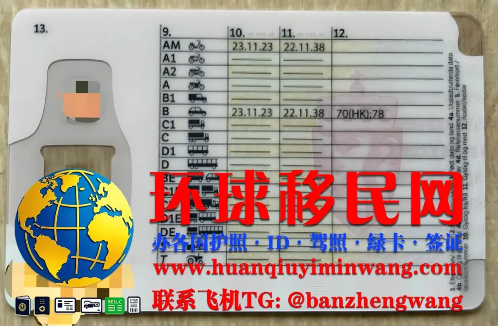 挪威驾驶证反面