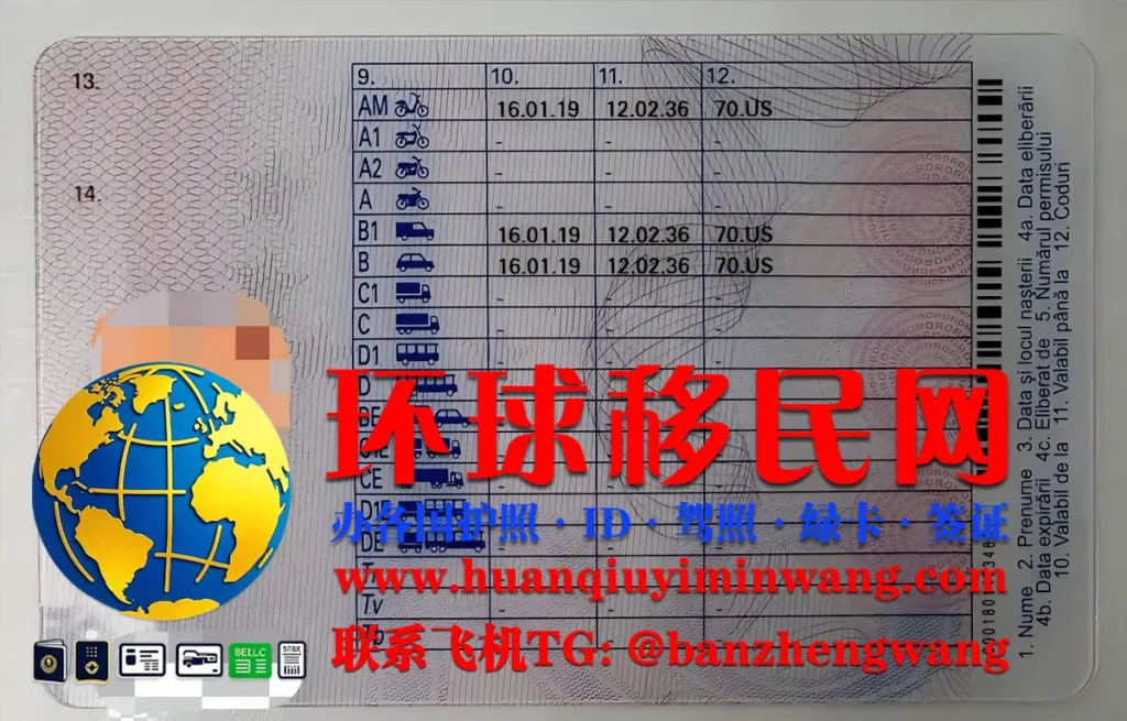 罗马尼亚驾照反面图片
