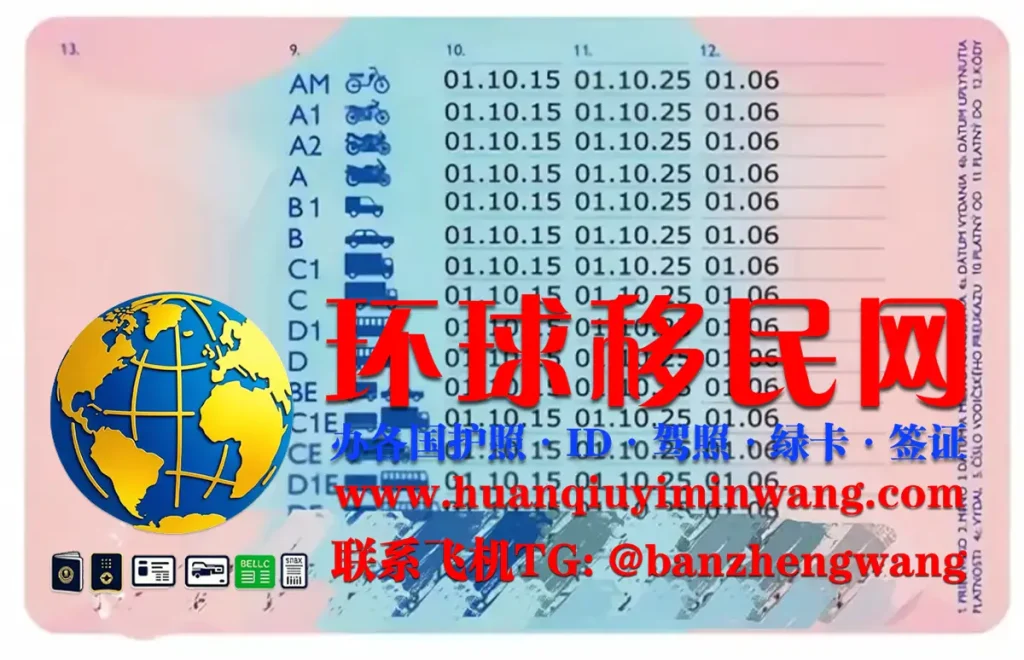 斯洛伐克驾照反面