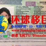 巴西签证