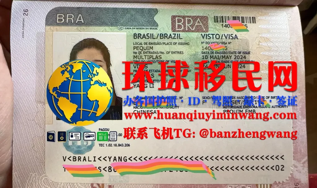 巴西签证样本