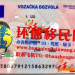 克罗地亚驾照