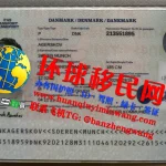 丹麦护照