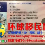 罗马尼亚驾照正面图片
