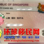 新加坡身份证正面图片