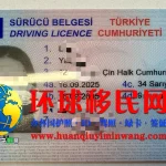 土耳其驾照正面图片
