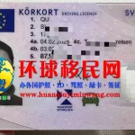 瑞典驾照正面图片