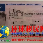 爱尔兰驾照正面