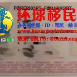 挪威驾驶证正面