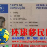 葡萄牙驾驶证正面