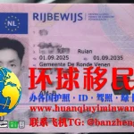 荷兰驾照正面高清图片