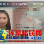 新加坡驾驶证正面高清图片