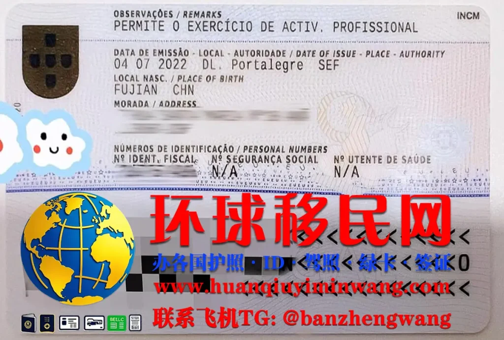 葡萄牙居留卡反面图片