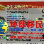 印度尼西亚驾照
