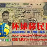 爱尔兰签证图片