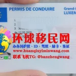 卢森堡驾驶证