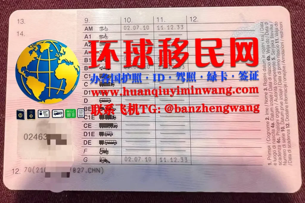 斯洛文尼亚驾驶证反面样本
