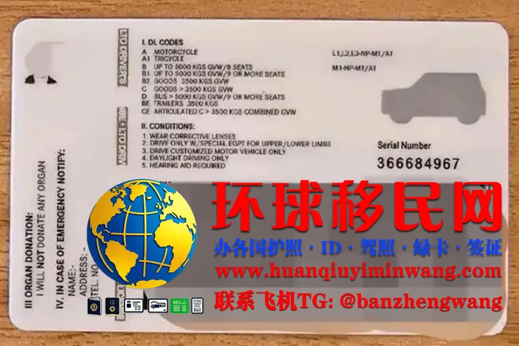 菲律宾驾照反面样本