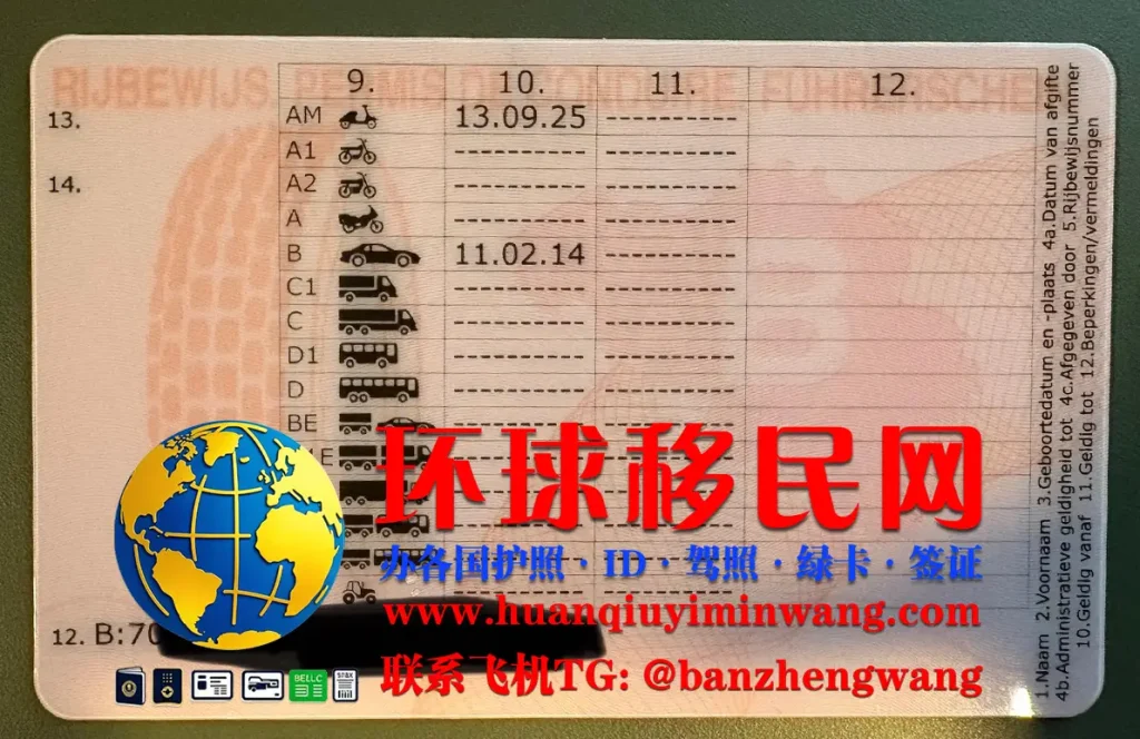 比利时驾驶证反面样本
