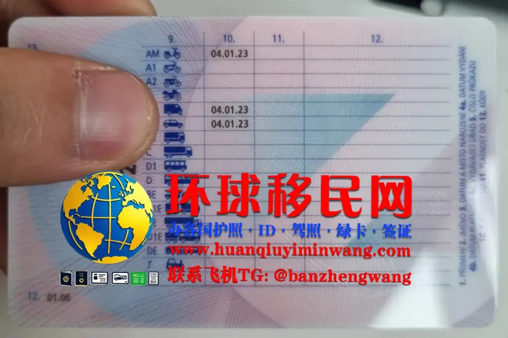 捷克驾照反面样本
