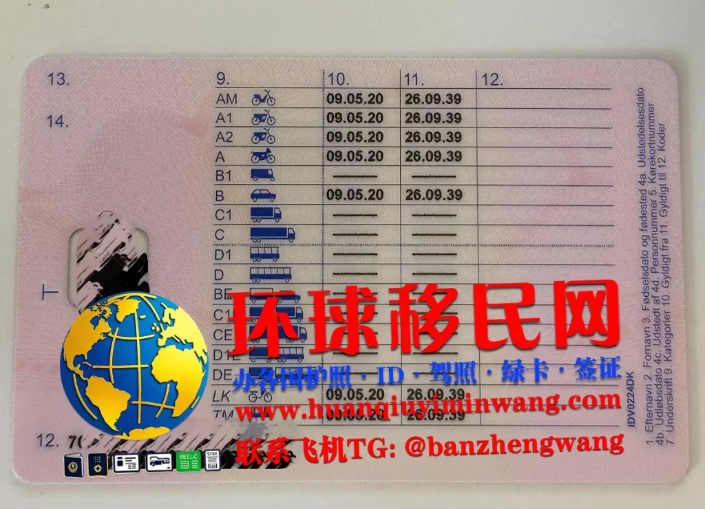 丹麦驾照反面样本