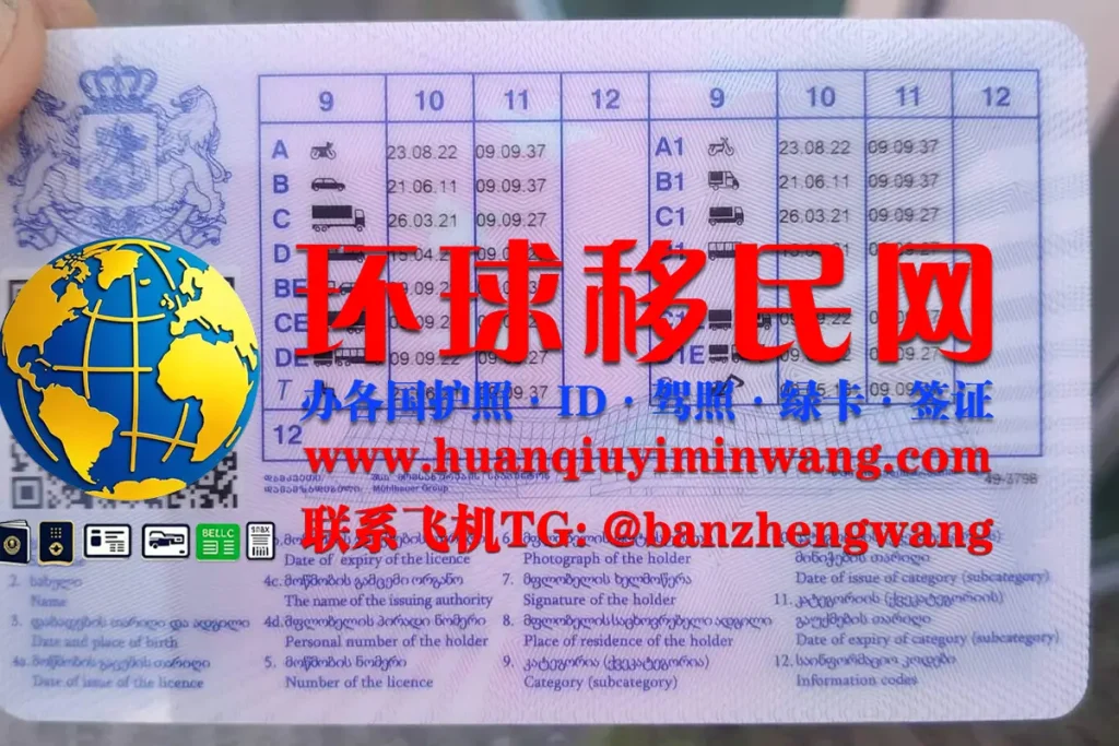 格鲁吉亚驾照反面样本
