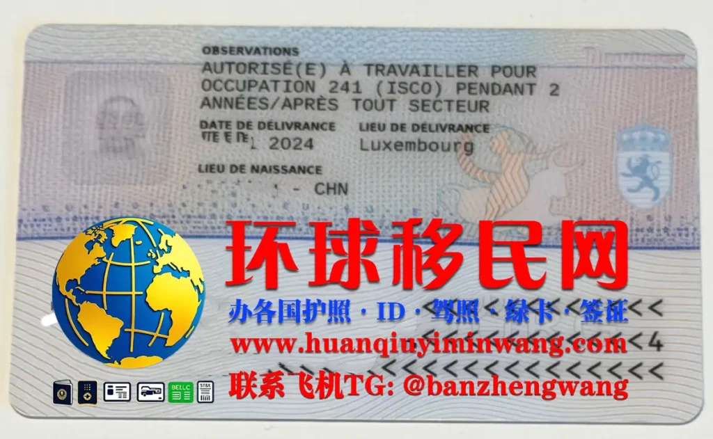 卢森堡居留卡反面样本