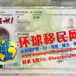 斯洛文尼亚移民护照