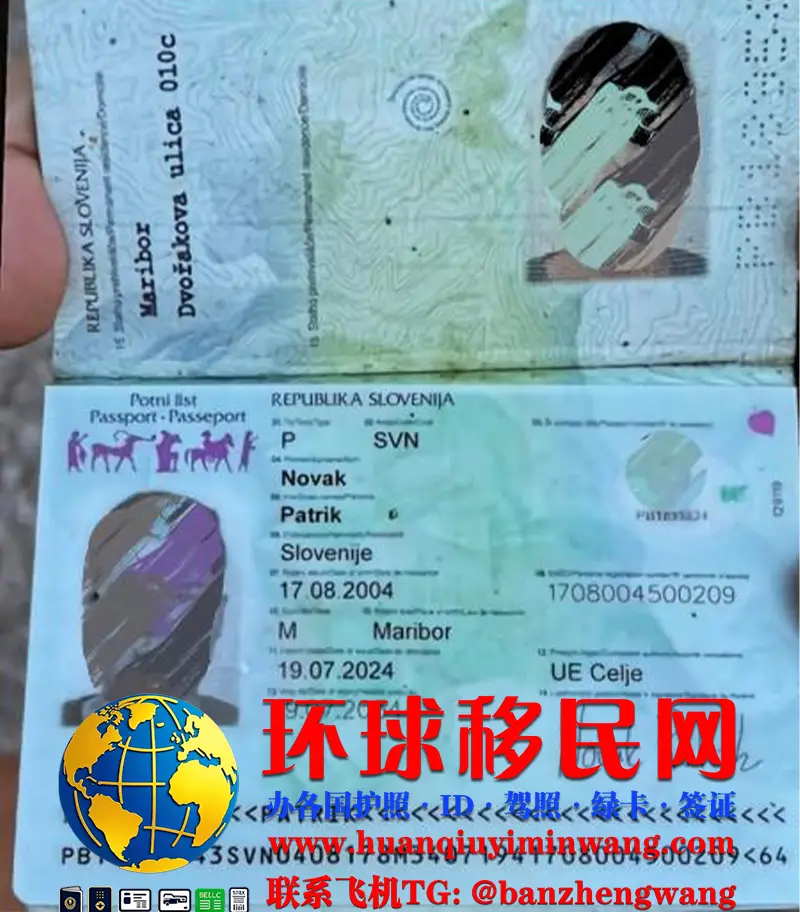 斯洛文尼亚护照