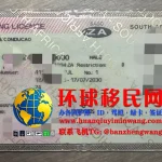 南非驾照正面样本