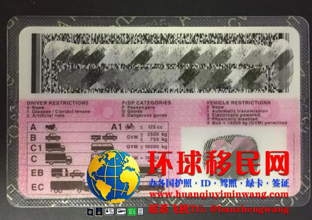 南非驾照反面样本