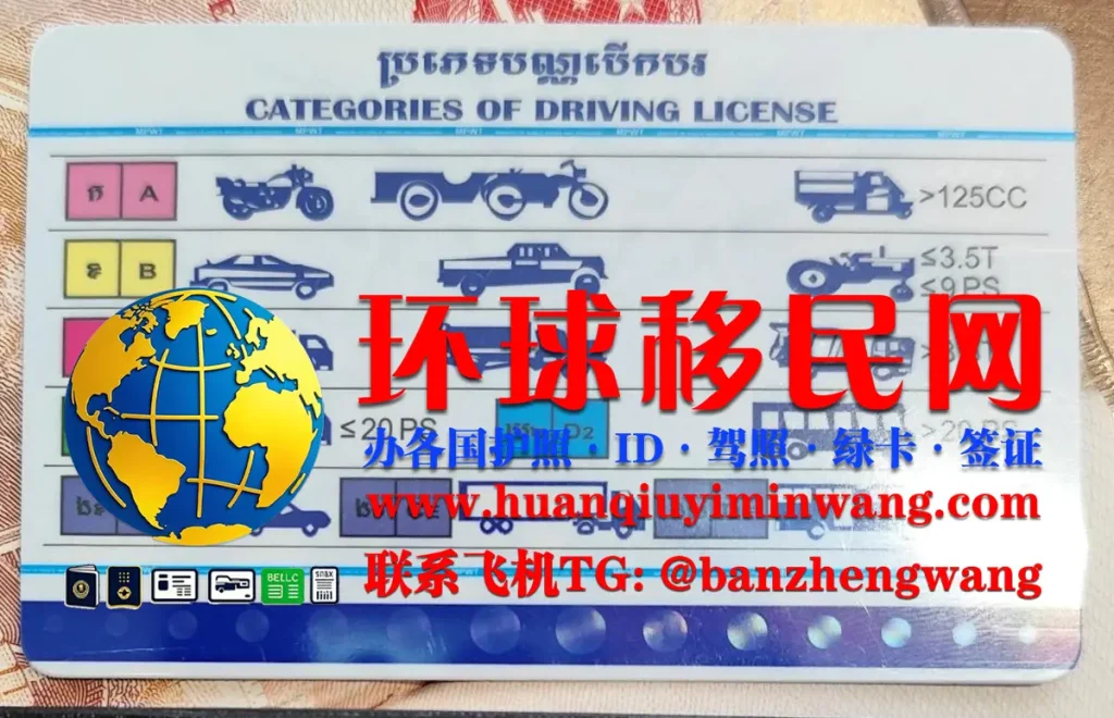 柬埔寨驾照反面样本